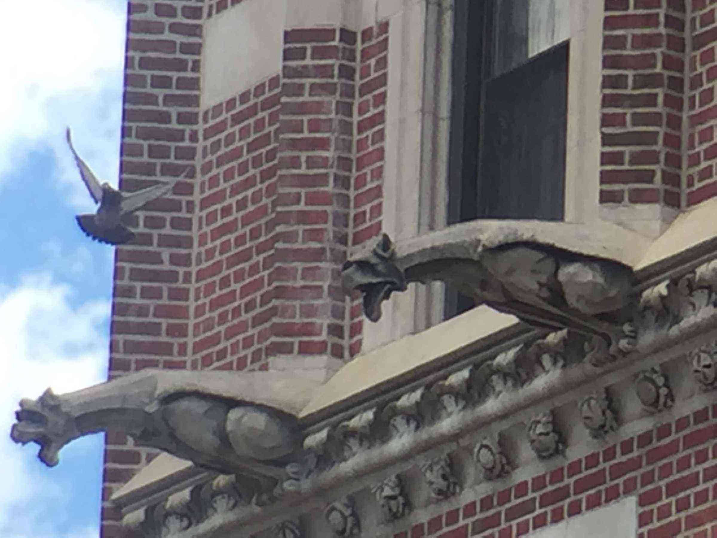 Gargoyle Hunting in New York City Fodors Travel Guide