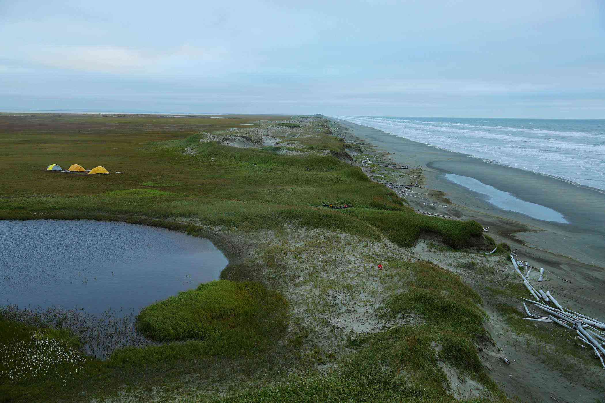 Research camp on the Chukchi Sea coast, Bering Land Bridge National Preserve