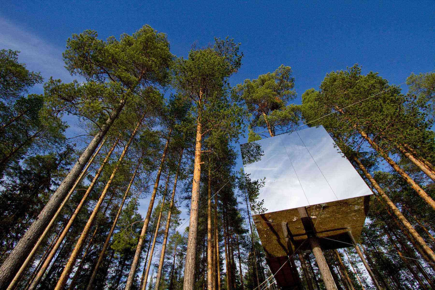 Unusual-Treehouses-Mirrorcube-1