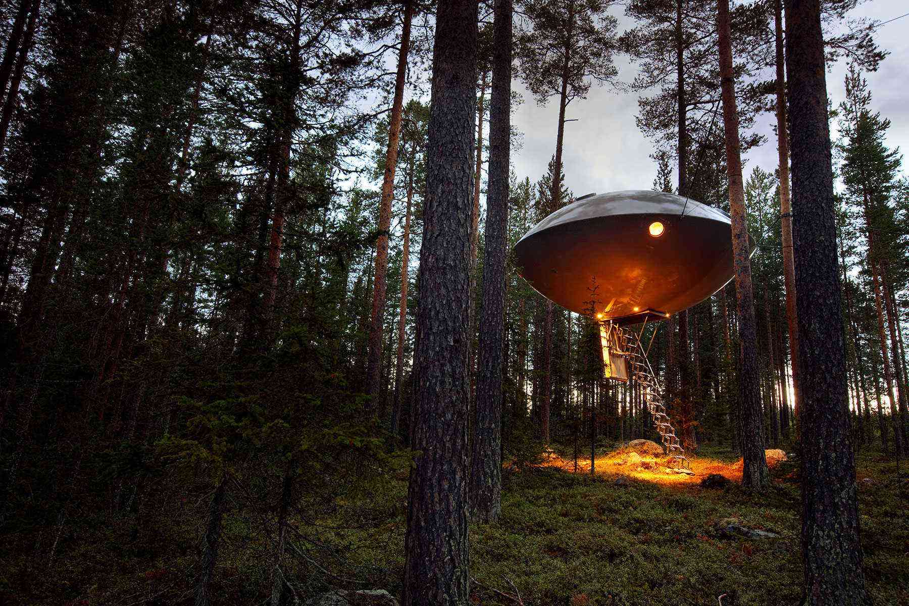 Unusual-Treehouses-hero