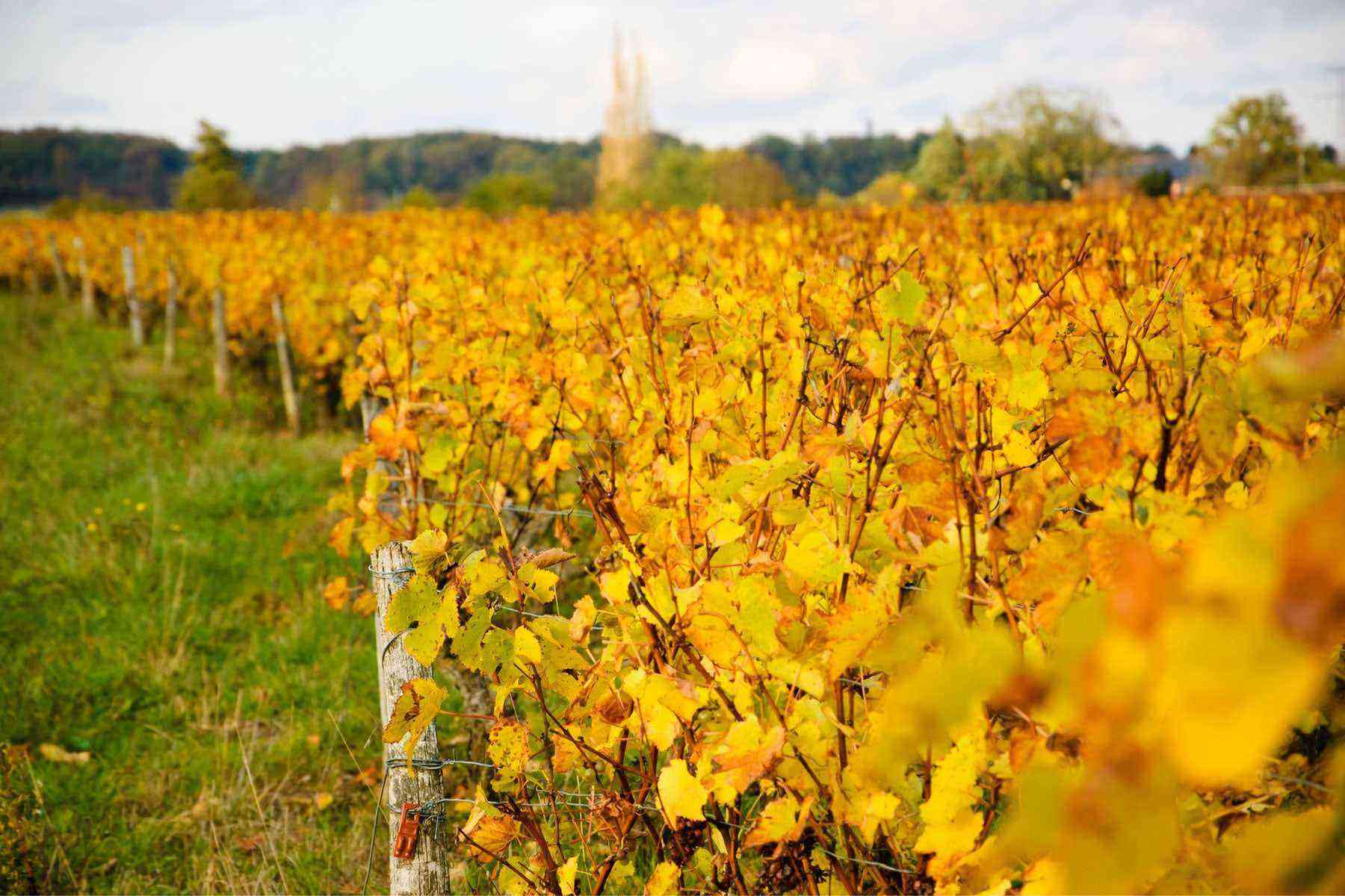loire-valley-france