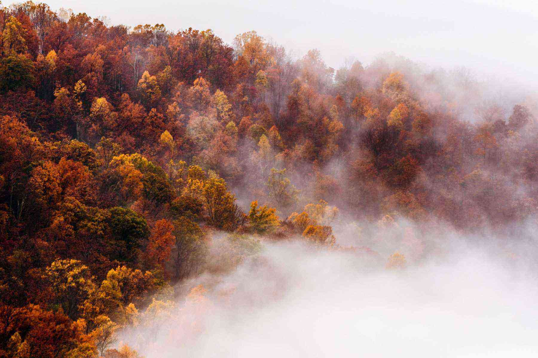 shenandoah
