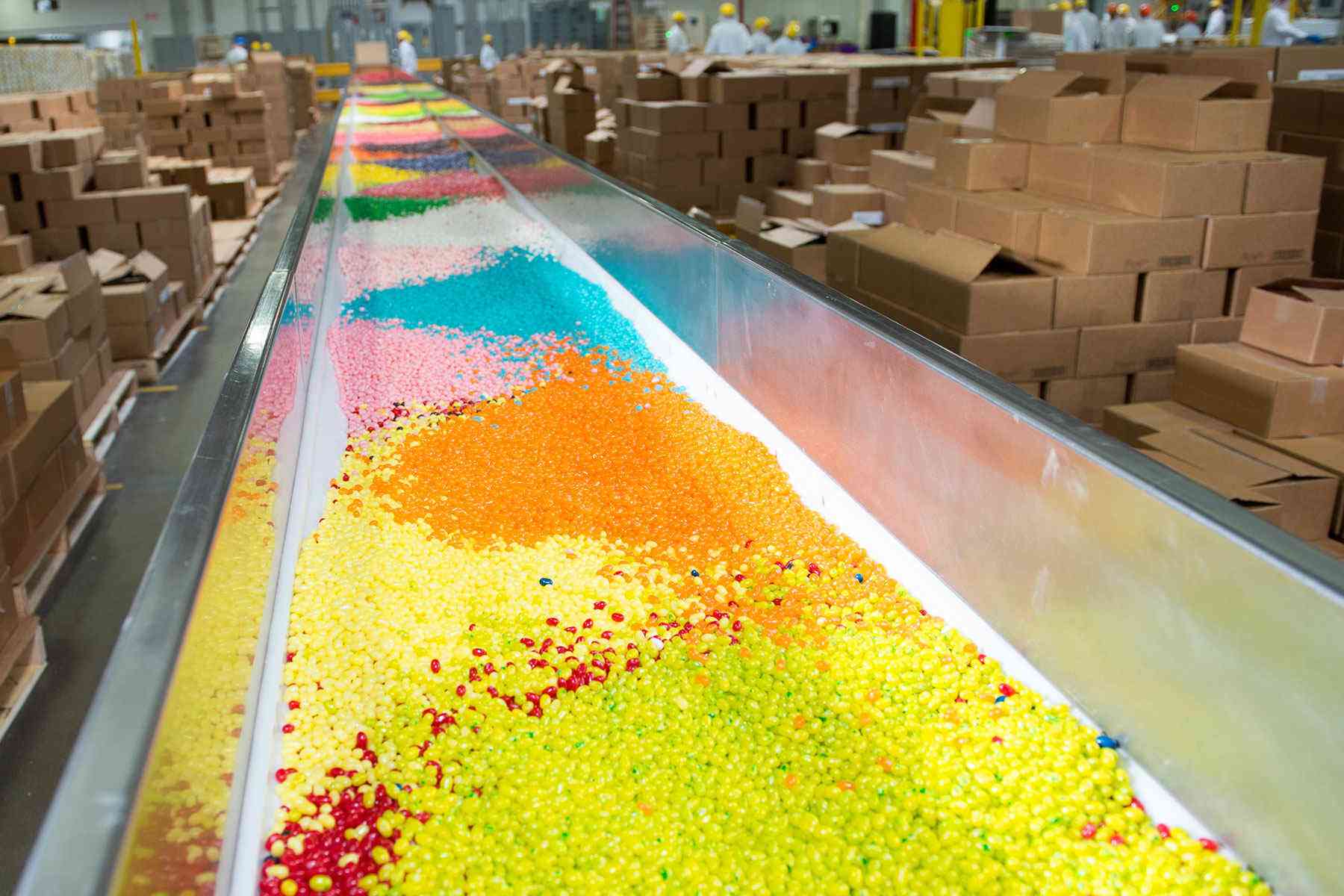 candy factory tours