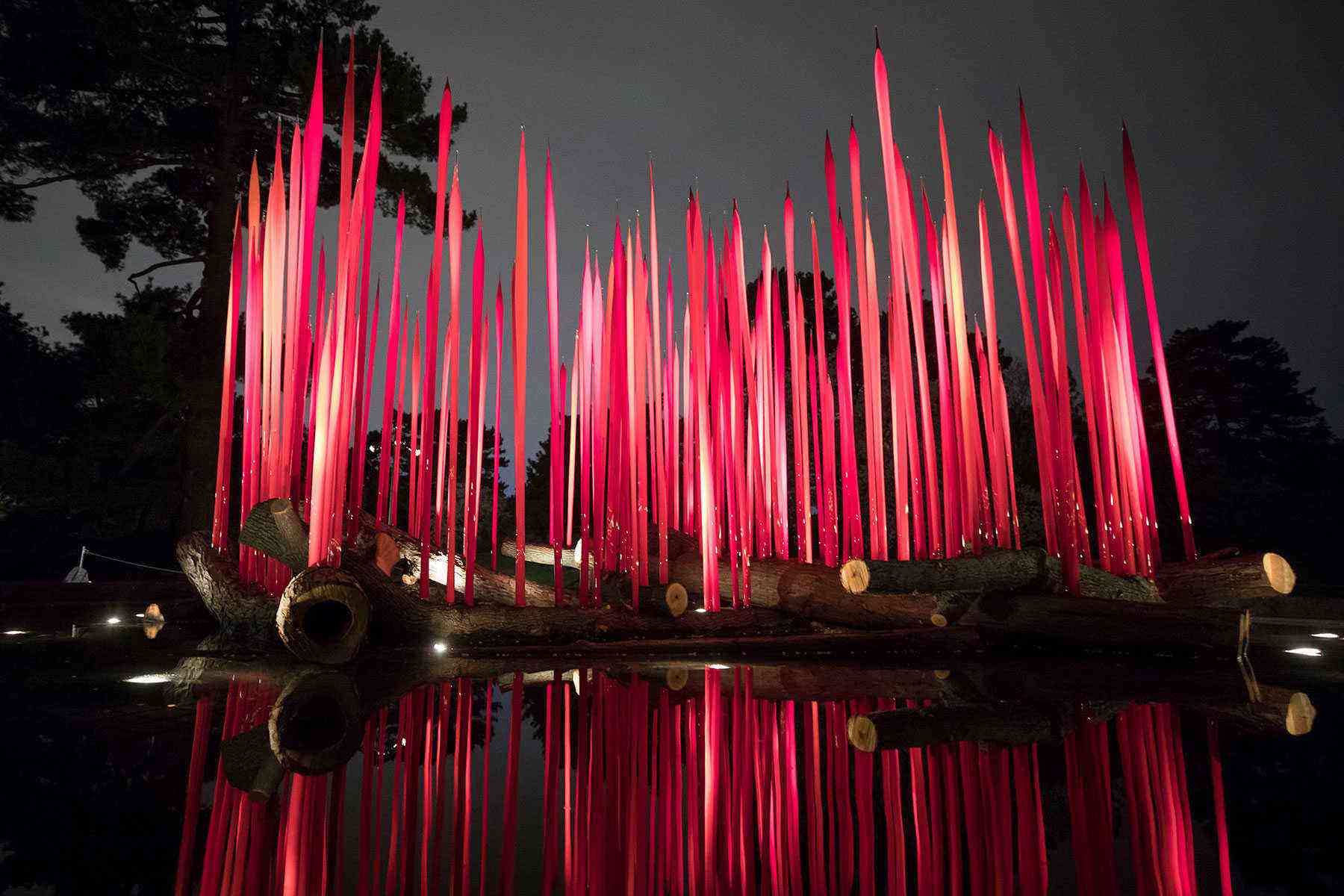Chihuly at the New York Botanical Gardens