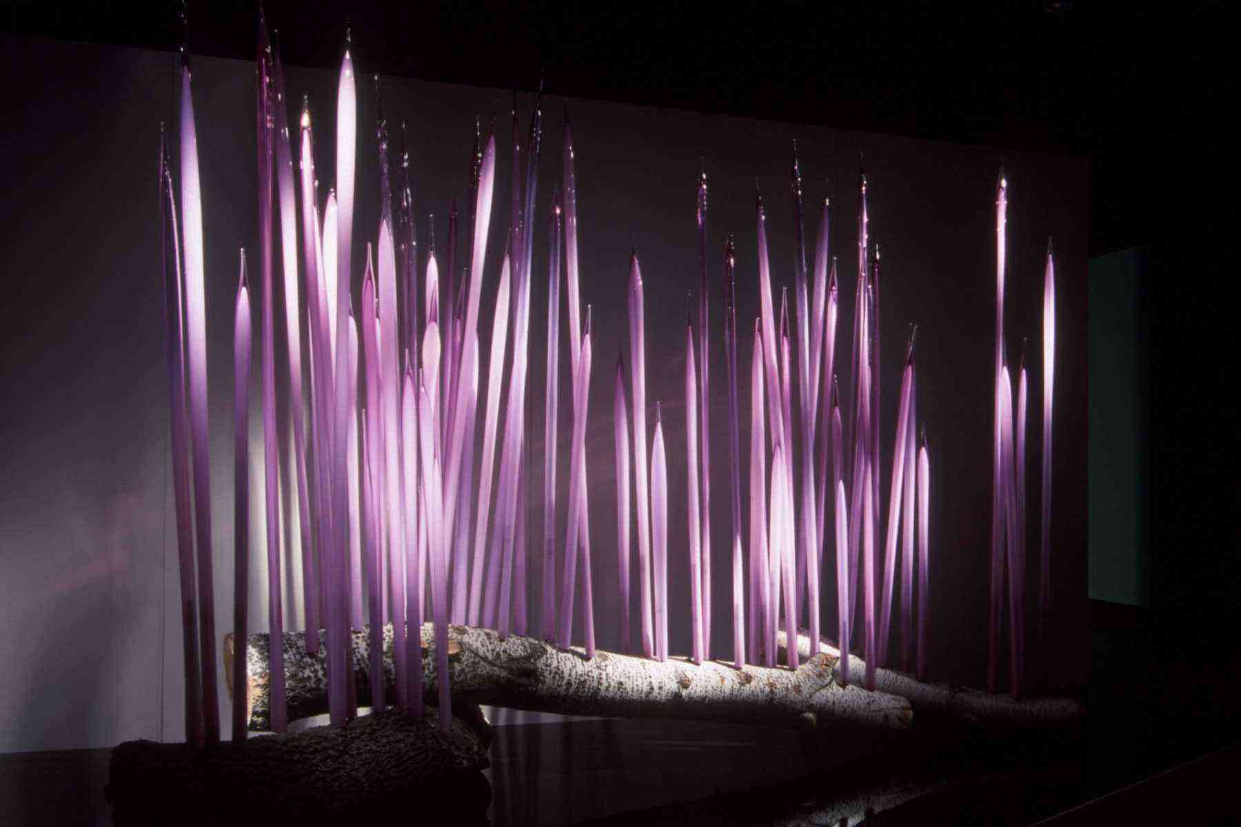 Chihuly-Oklahoma-City-Museum-of-Art-1