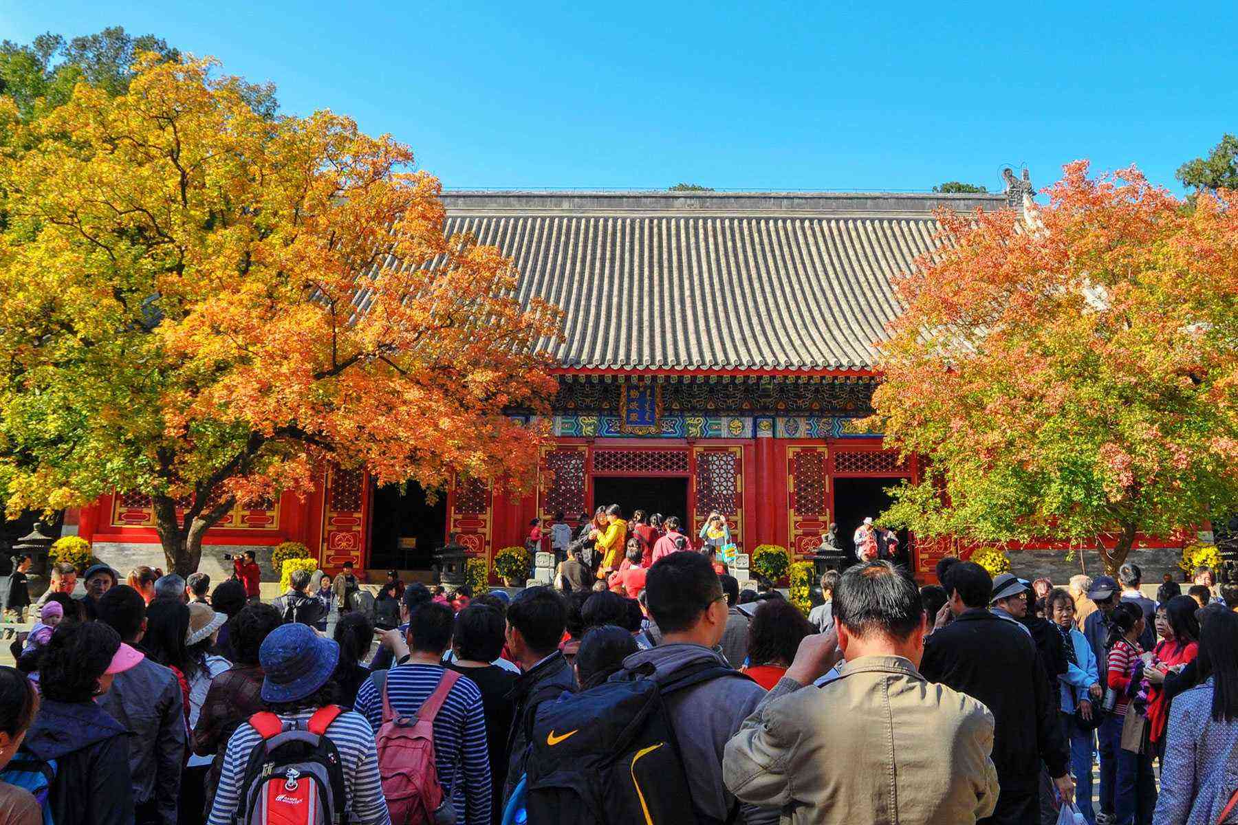 Leaf-Peeping-China-Fragrant-Hills-Park-2