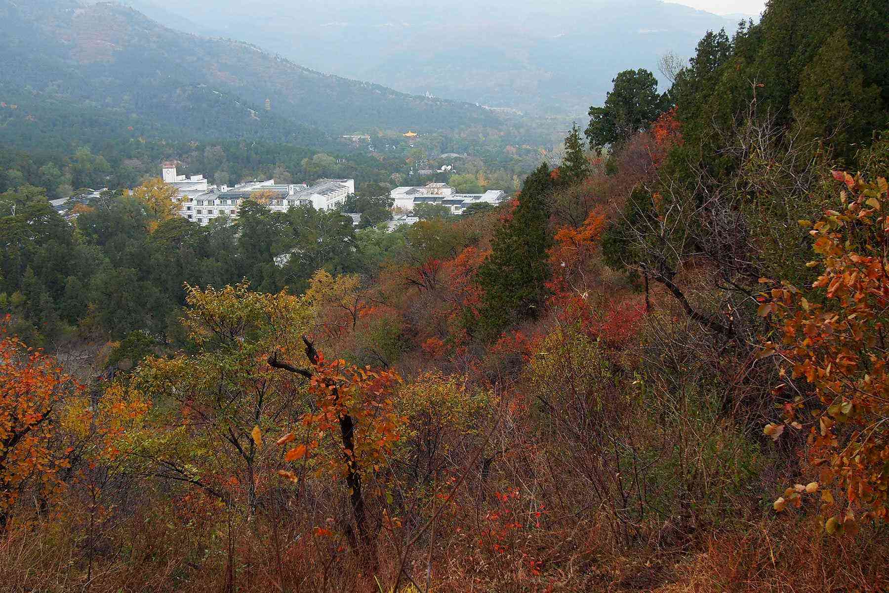 Red Leaves Area of Fragrant Hills Park