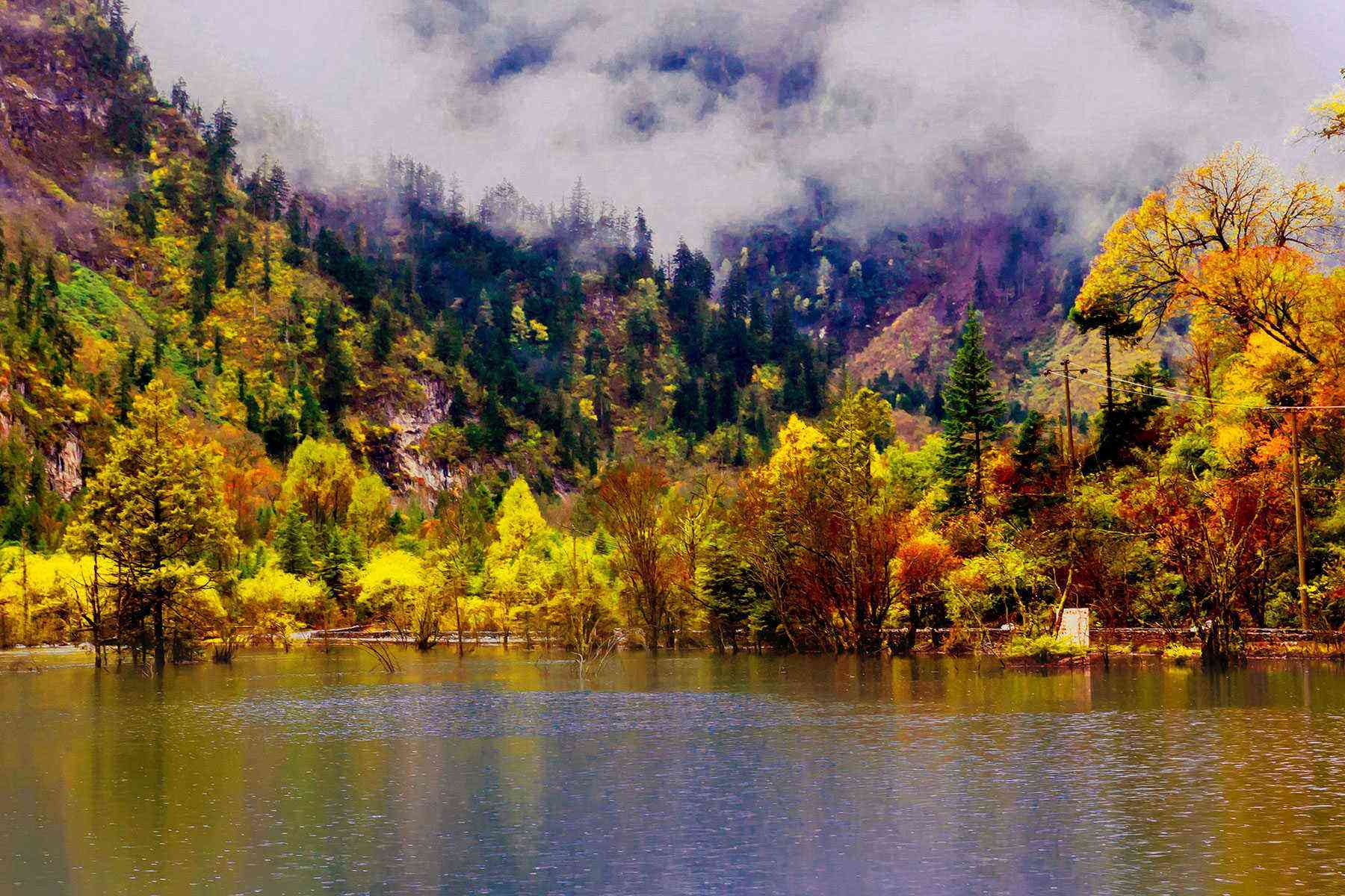 Leaf-Peeping-China-Miyaluo-3