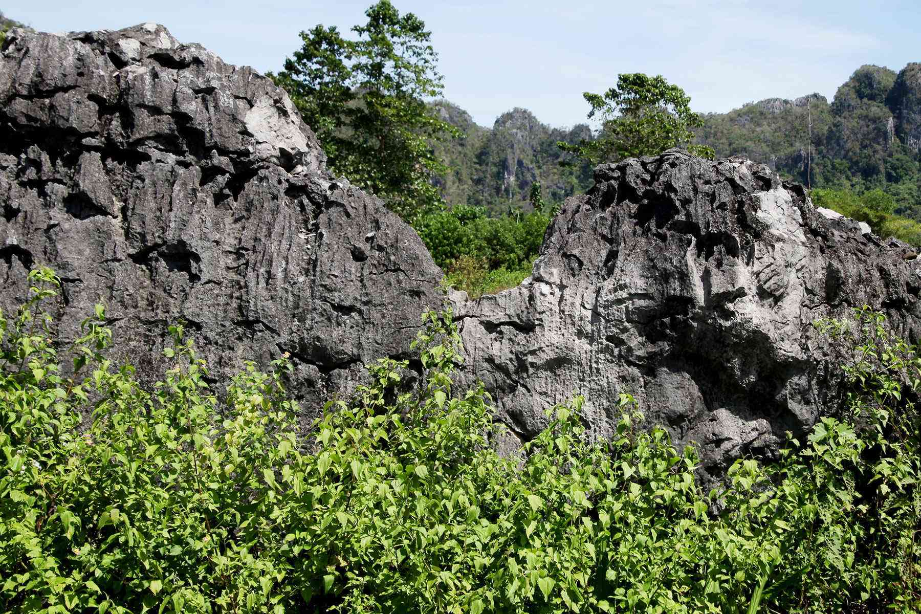 Prehistoric-Rock-Art-Maros-Pangkep