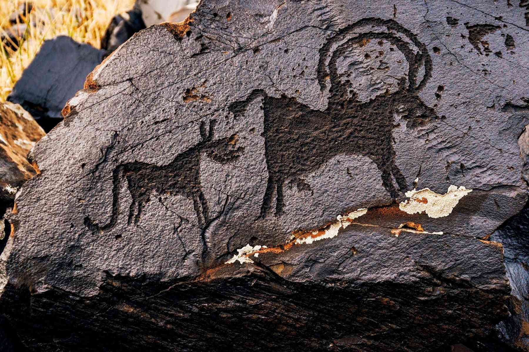 Prehistoric-Rock-Art-Saimaluu-Tash-1