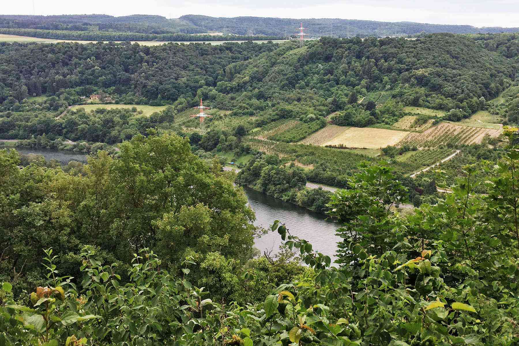 Rhine-River-Cruise-Winningen
