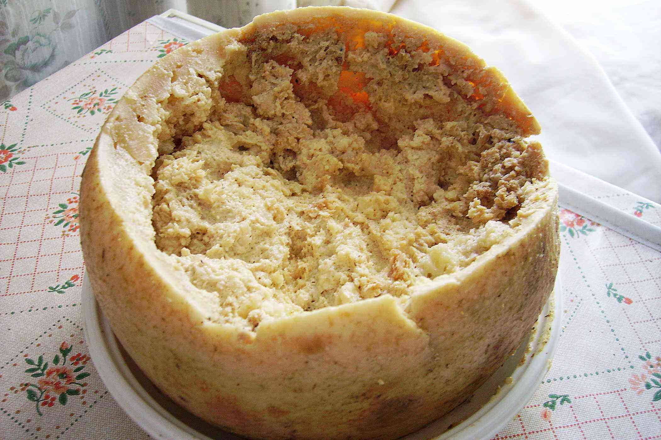 Casu Marzu