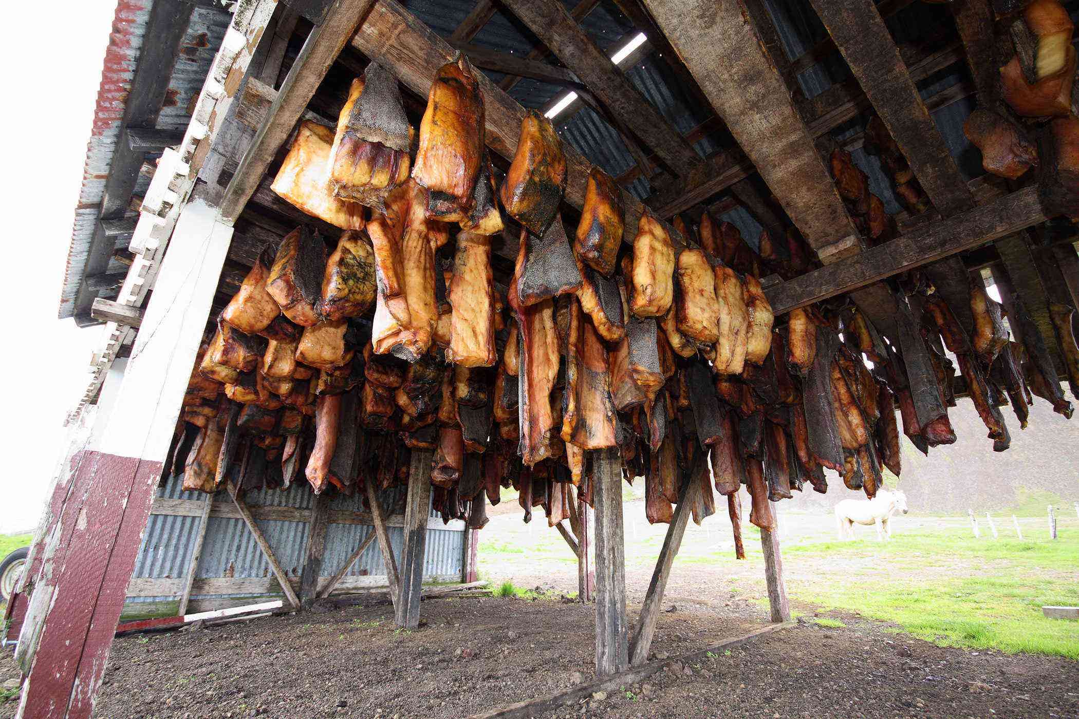Weird-European-Foods-Hakarl