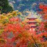 kyoto-foliage-2