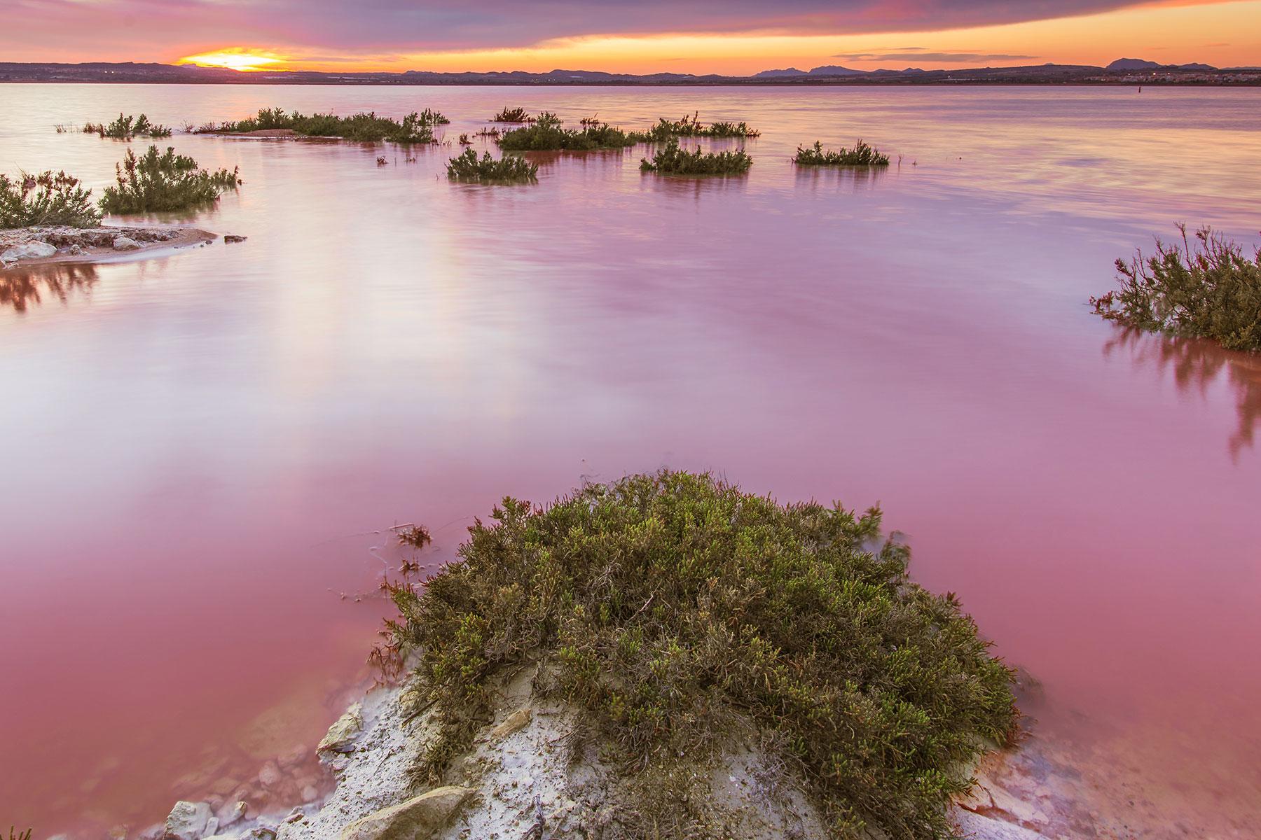 Pink-Places-Las-Salinas-de-Torrevieja-Valencia-Spain-3