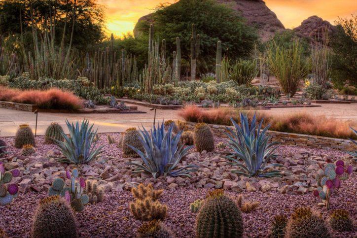 20 Ultimate Things To Do in Arizona – Fodors Travel Guide