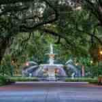 savannah_shutterstock-975x650