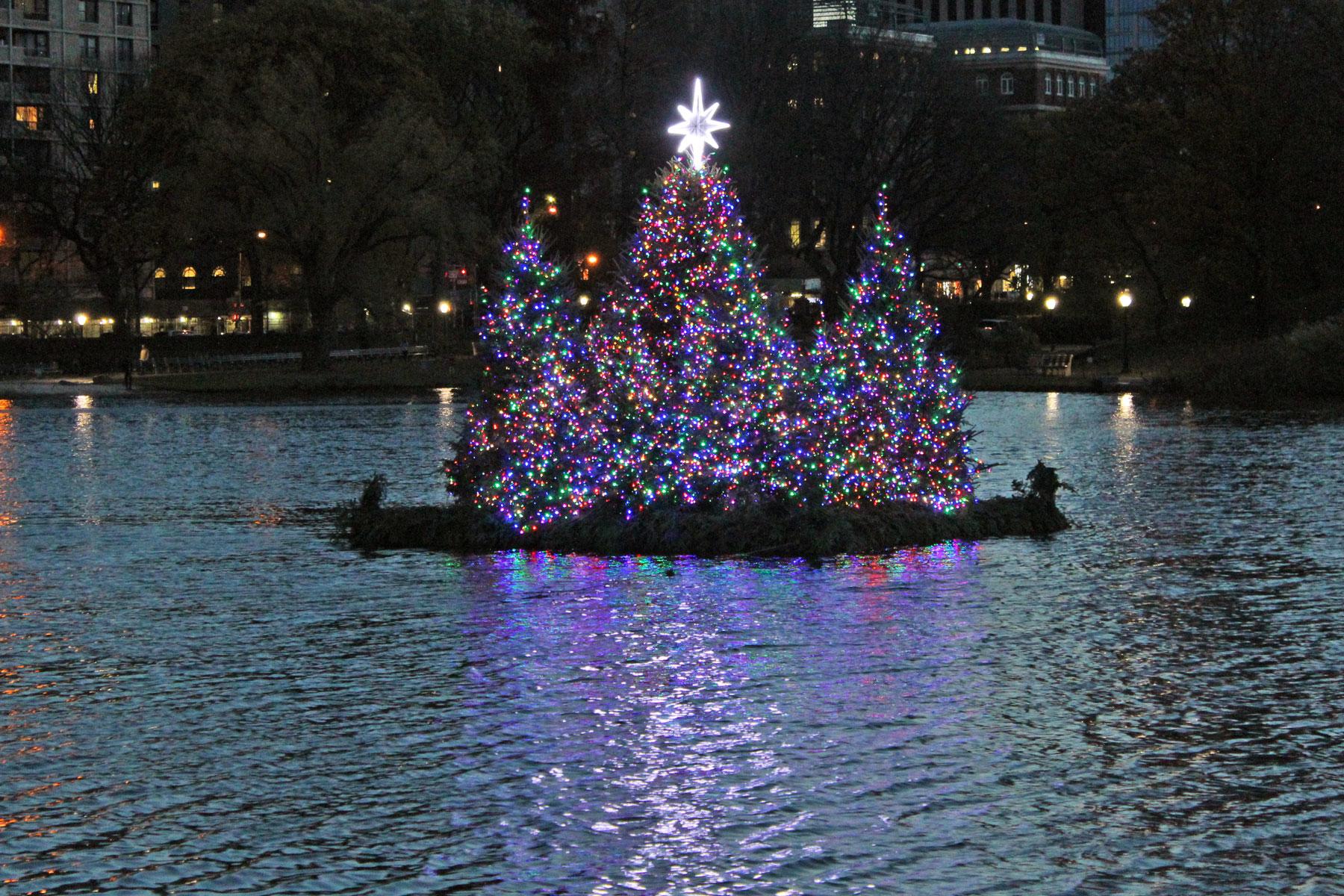 14 Nyc Christmas Trees Besides Rockefeller Center