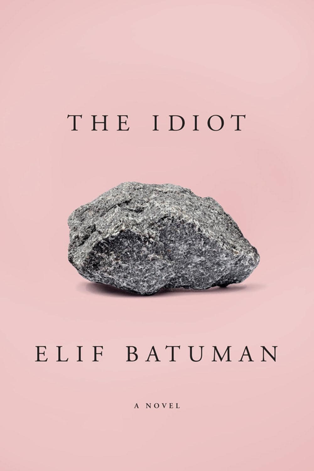 Fodors-Travel-Gift-Guide-Books-The-Idiot