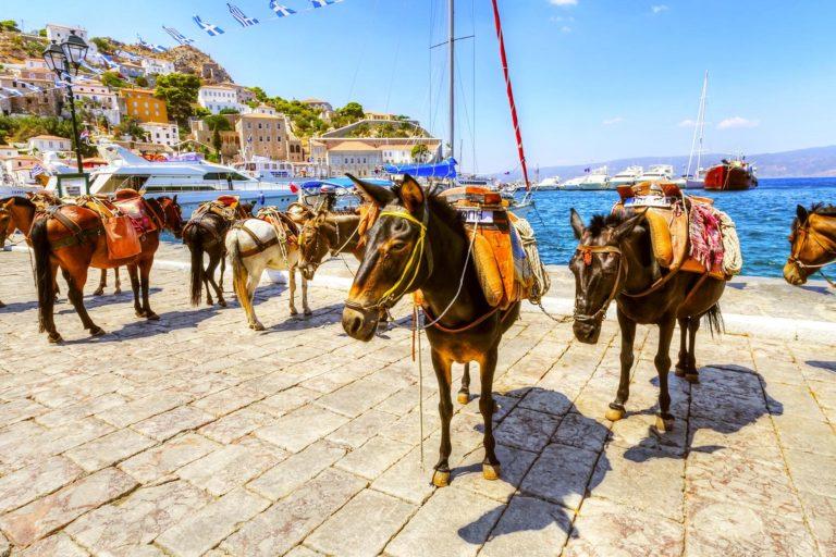 22 Ultimate Things to Do in Greece Fodors Travel Guide