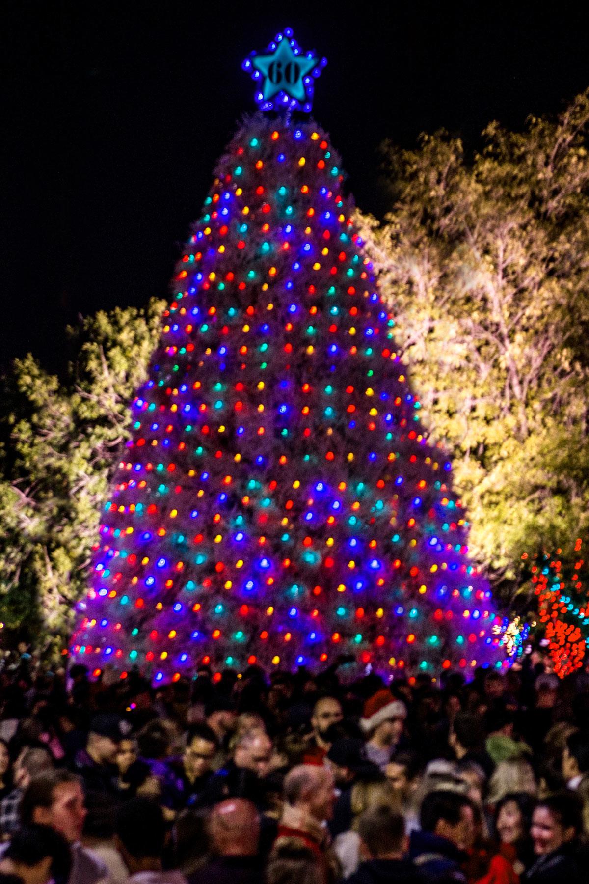 Xmas-Traditions-Tumbleweed-Tree