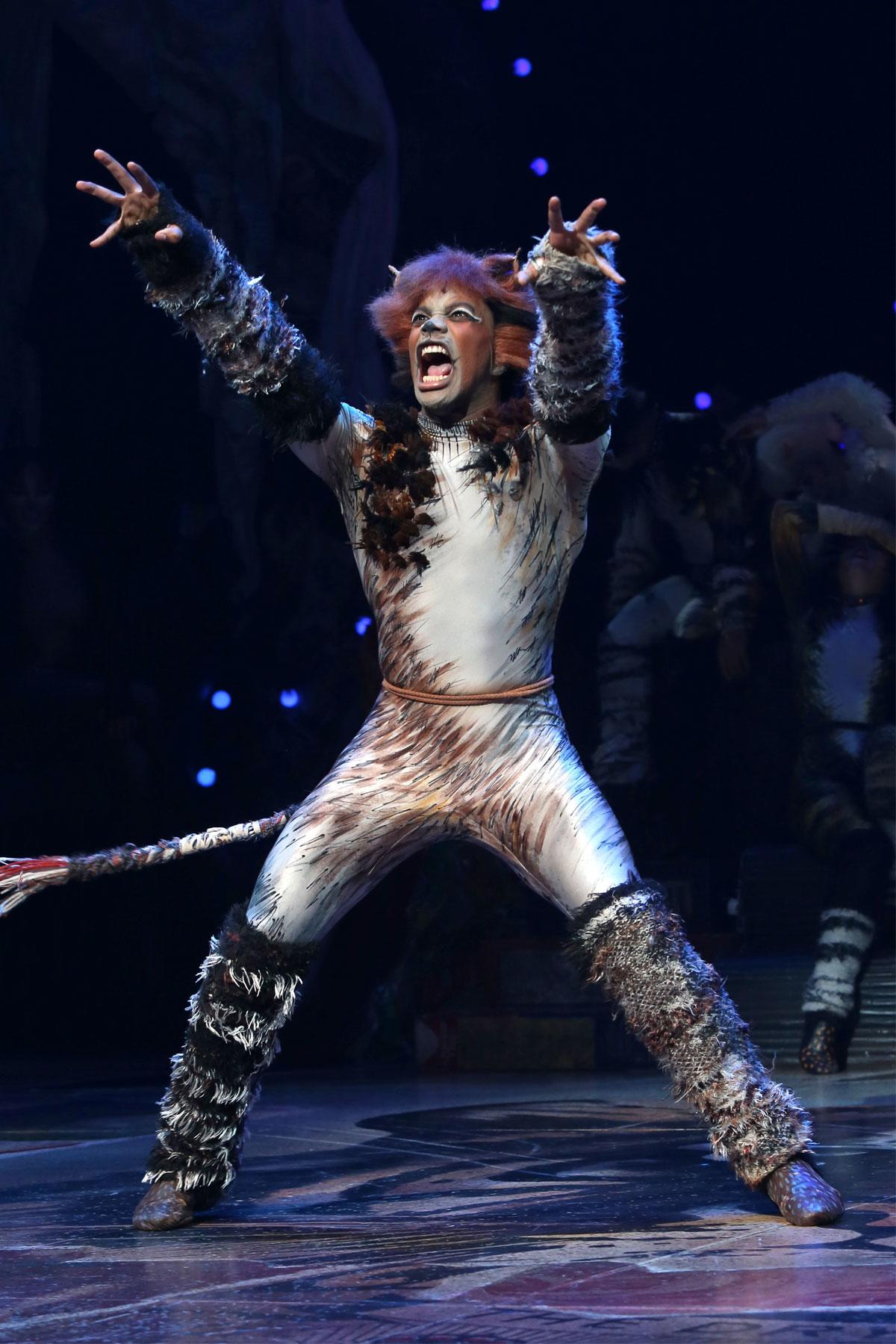 CATS: The Musical' Louisville Broadway review: Great songs, costumes
