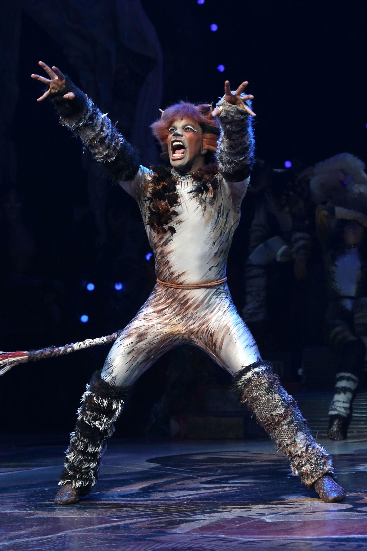 CATS voted best musical