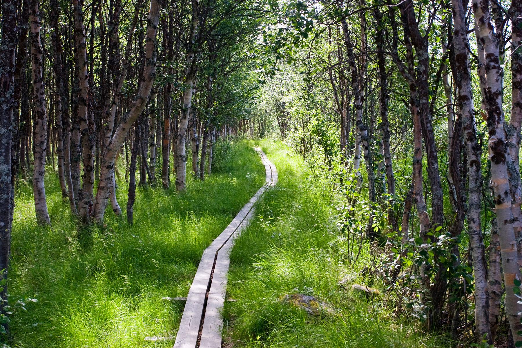 DistanceHiking_Kungsleden_01