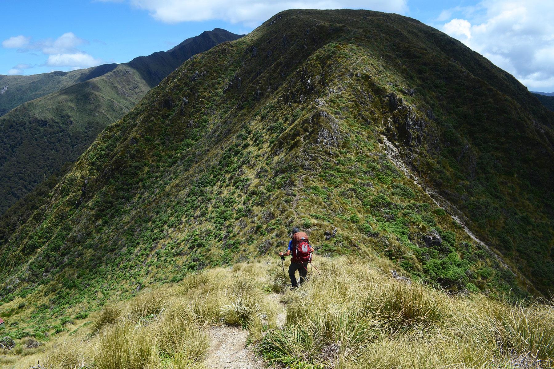 DistanceHiking_TeAraroa_01