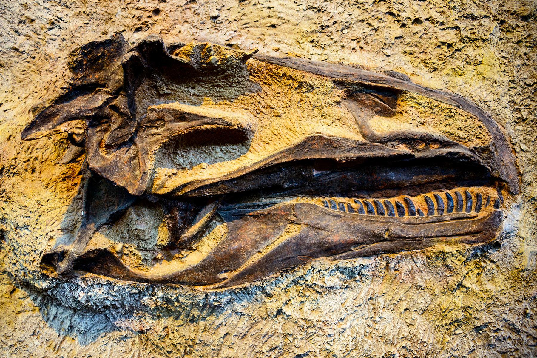 Go-Dragon-Hunting-Utah-Dinosaur-National-Monument