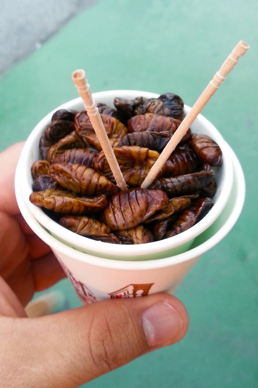 Quirky-South-Korea-Eat-Bondaegi