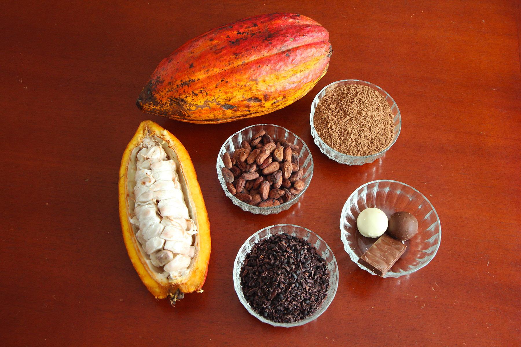 Ultimate-Things-To-Do-St-Lucia-Watch-Cocoa-Pods-Become-Chocolate-Bars-02