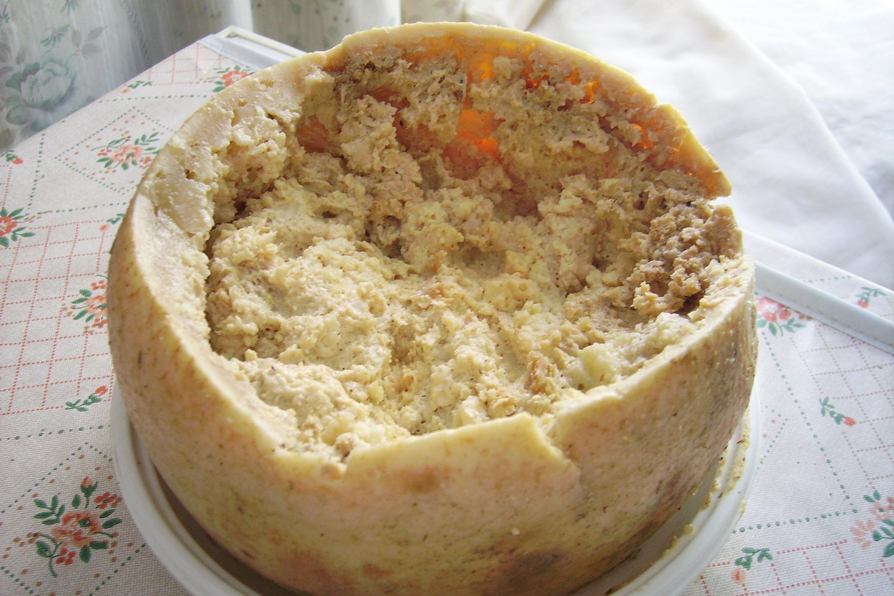 banned-foods-casu-marzu-cheese