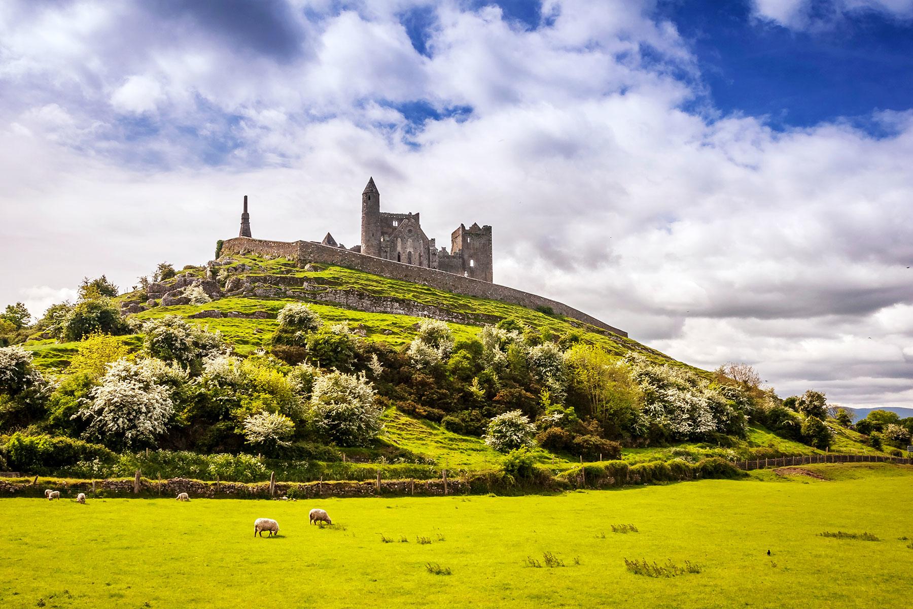 LGBTQ Weddings -Ireland-1