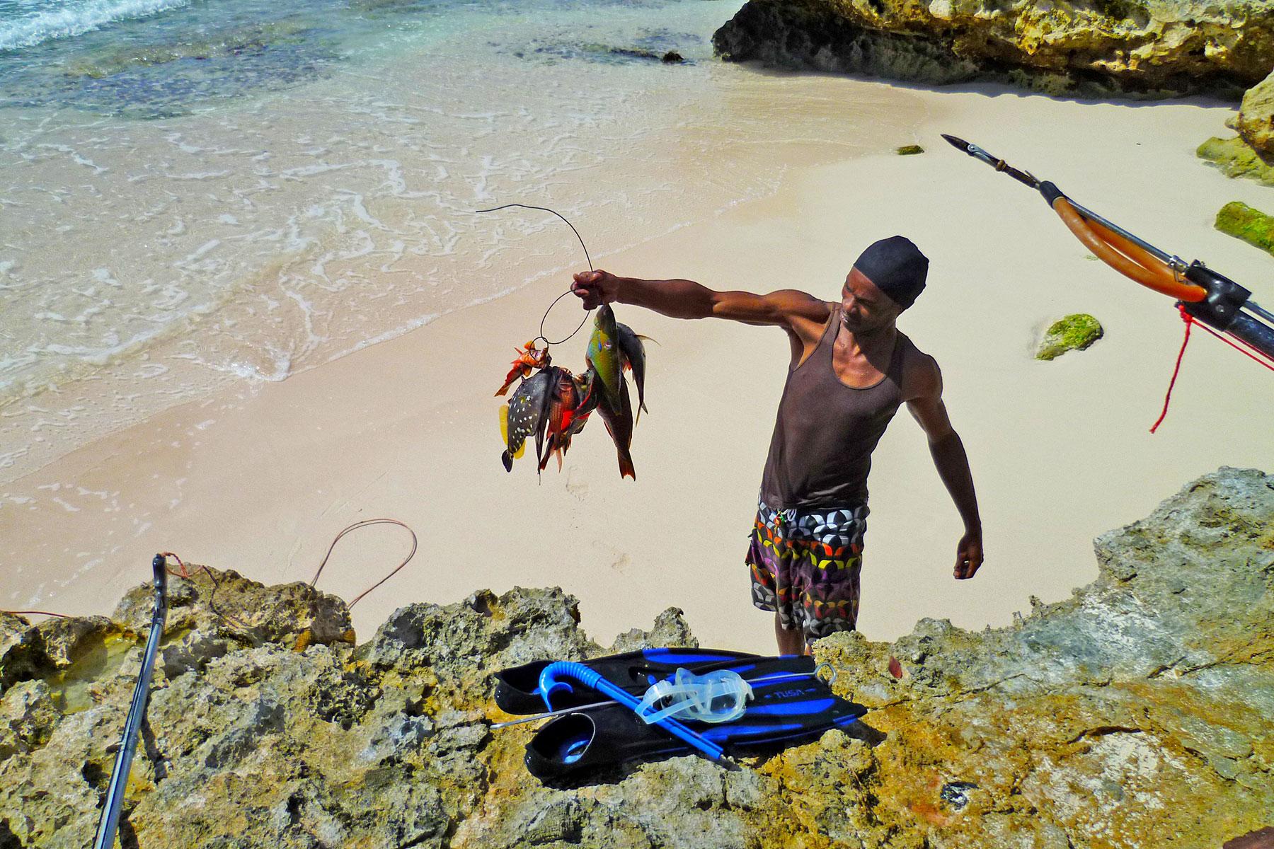 25 Ultimate Things to Do in Barbados Fodors Travel Guide