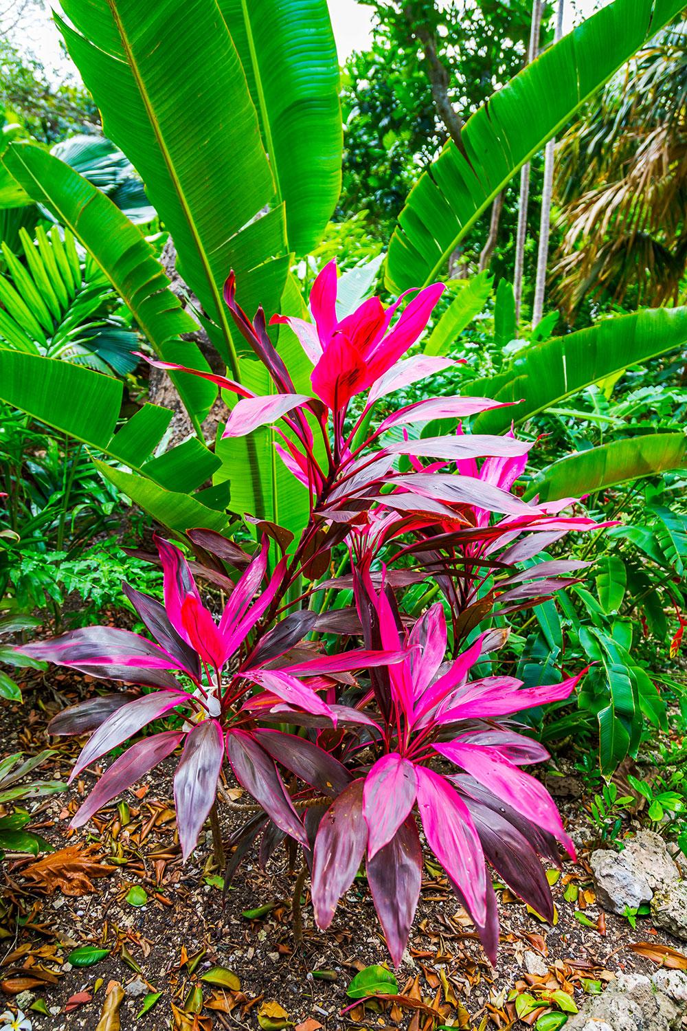 25 Ultimate Things to Do in Barbados Fodors Travel Guide