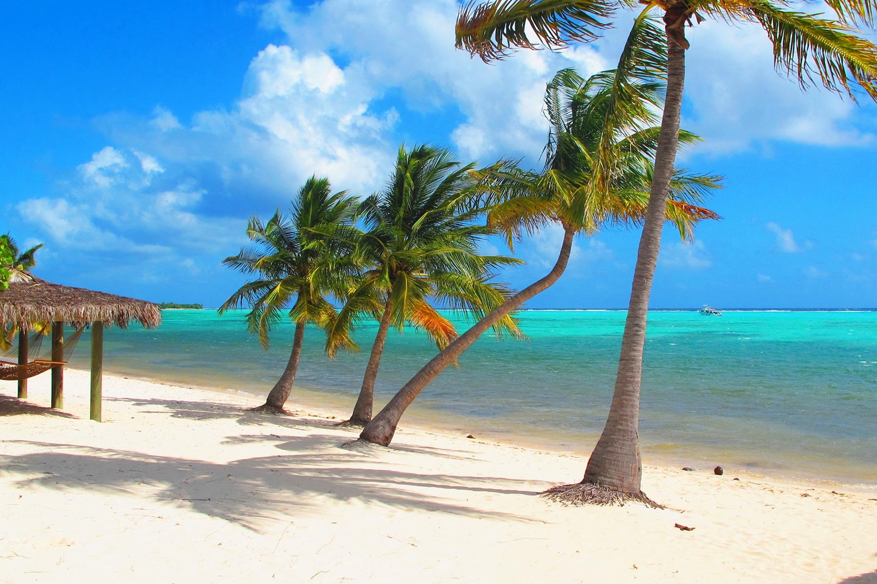 Ultimate-Things-To-Do-Cayman-Islands-Owen-Beach-Little-Cayman