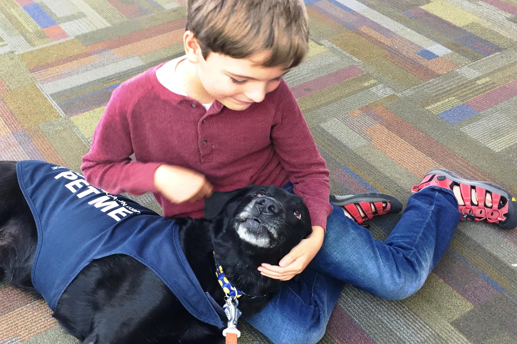 Airports With Therapy Dogs