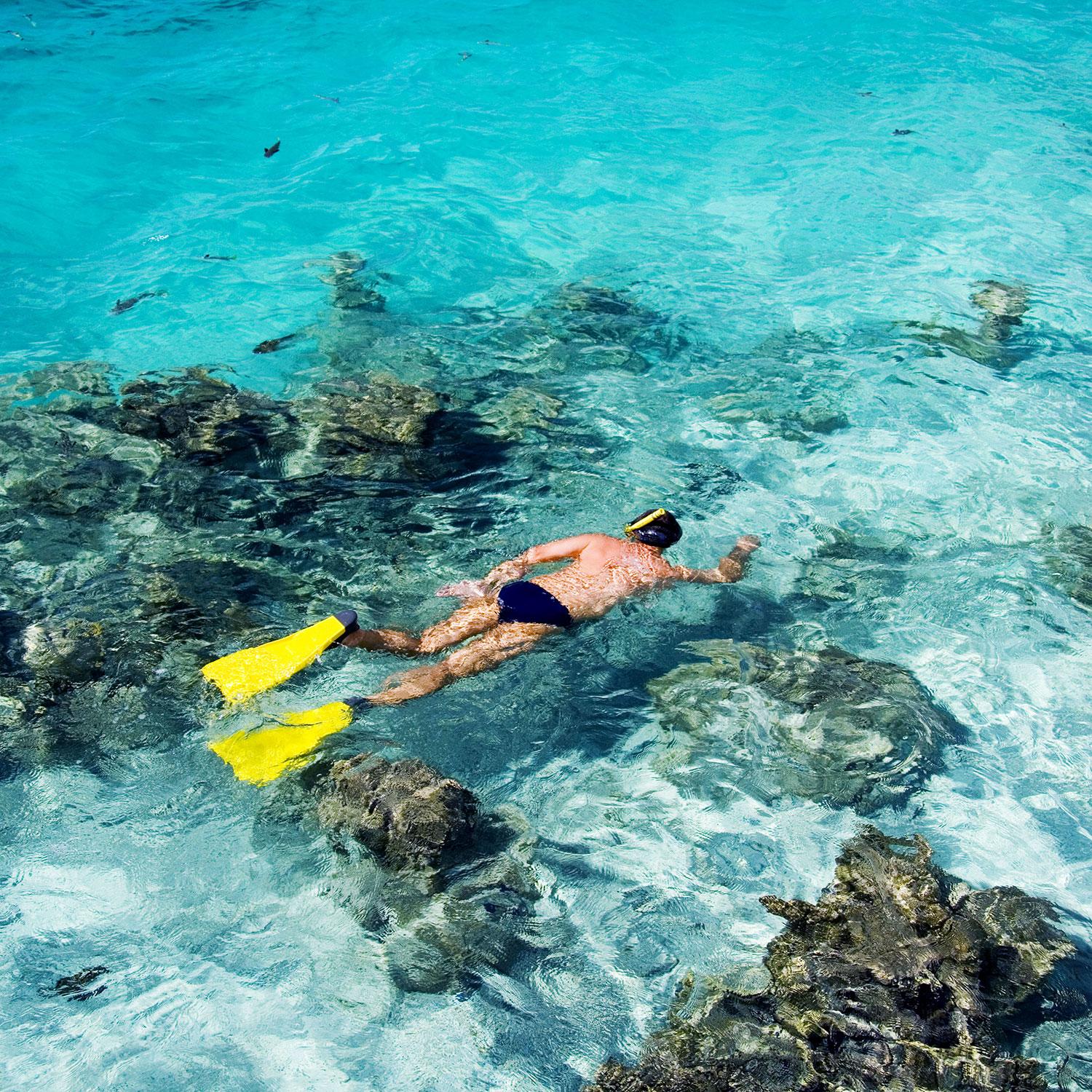 Cook-Island-Adventures-Snorkel-Beautiful-Lagoon