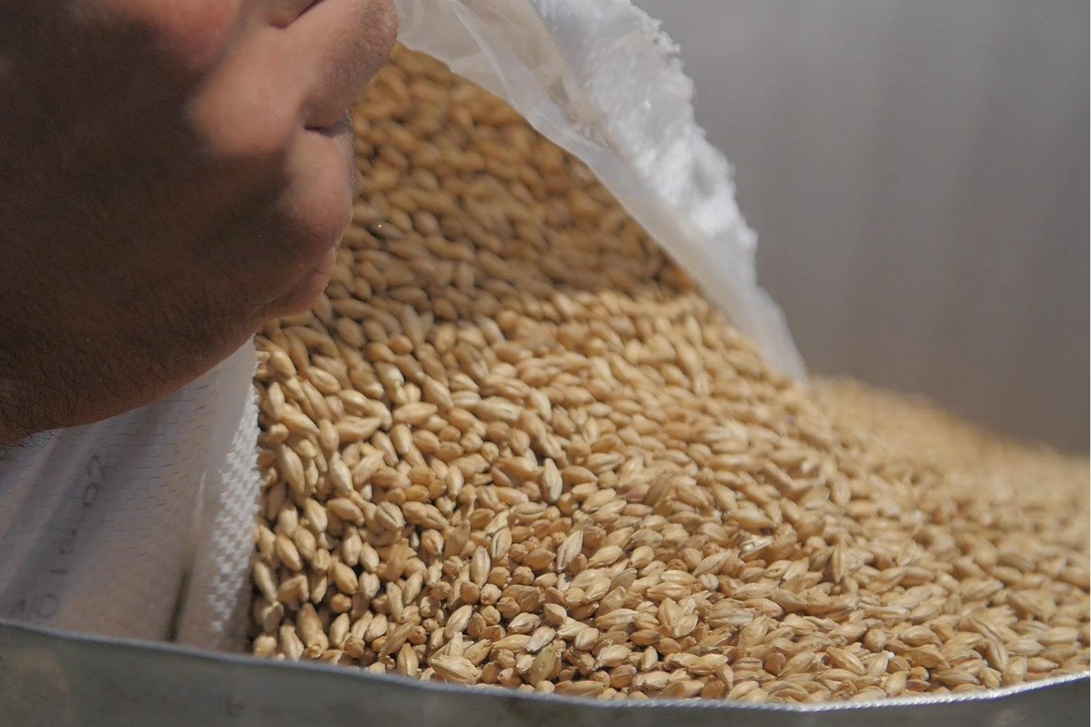 Cook-Islands-Brewing-03