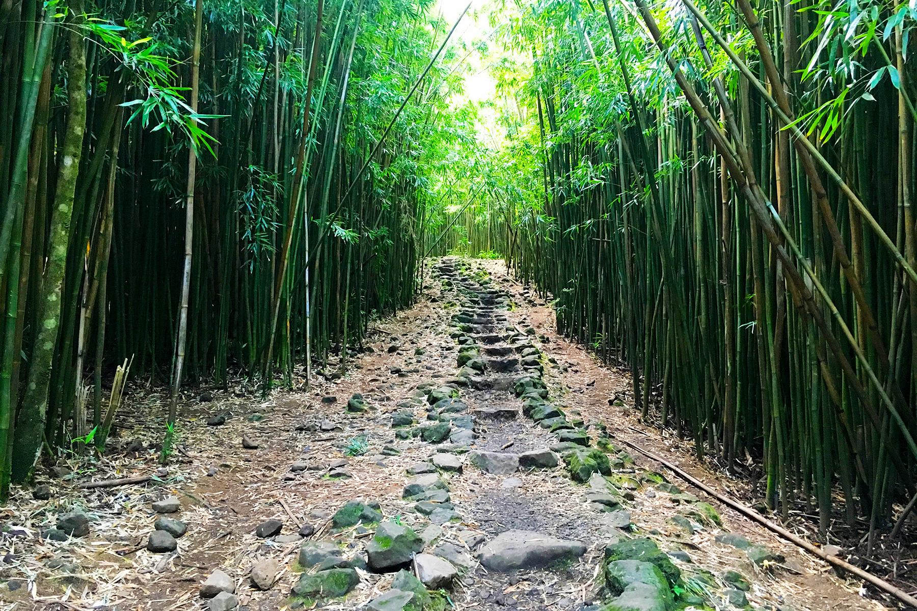 21 Best Things to Do in Maui