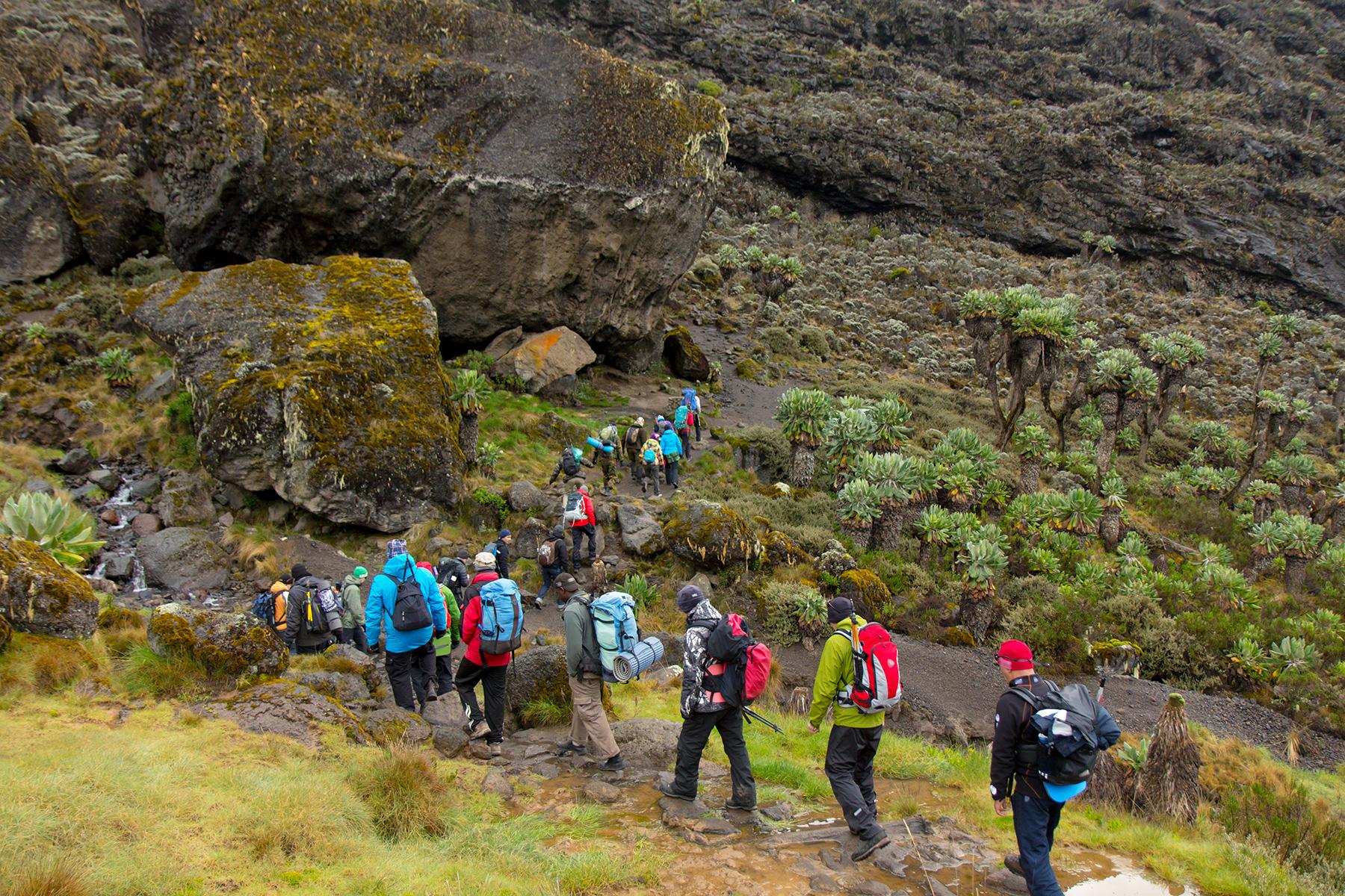 10-Ways-To-Hold-Your-Sanity-On-Mt-Kilimanjaro-Slide-1