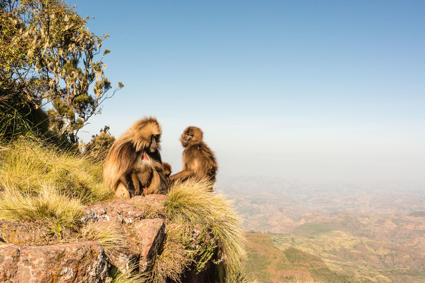 The 10 Best Hikes in Africa