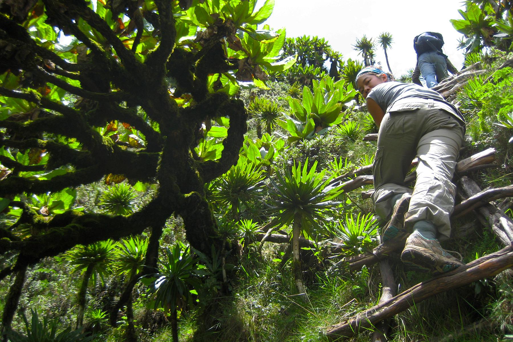 The 10 Best Hikes in Africa