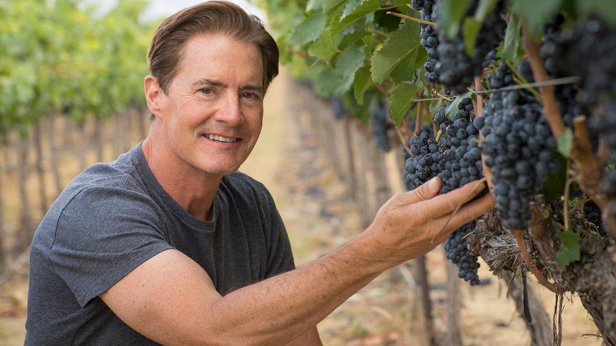 11 Wineries That Are Owned by Celebrities