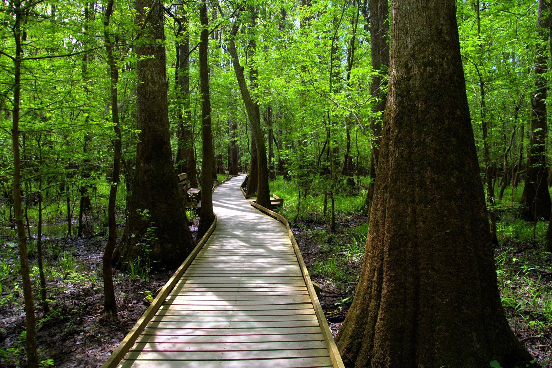 National-Park-Hikes-Boardwalk-Loop-1