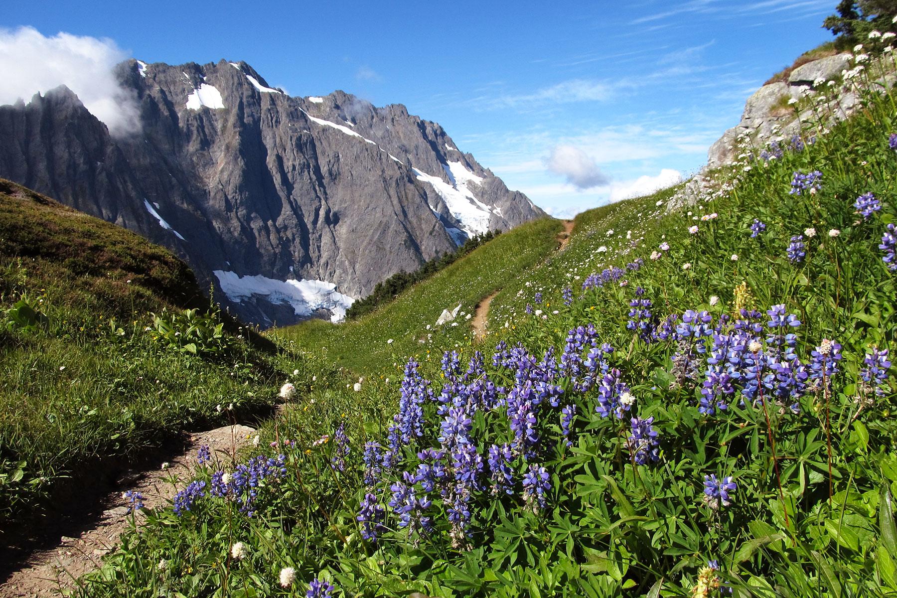 National-Park-Hikes-Cascades-Pass-Trail-1