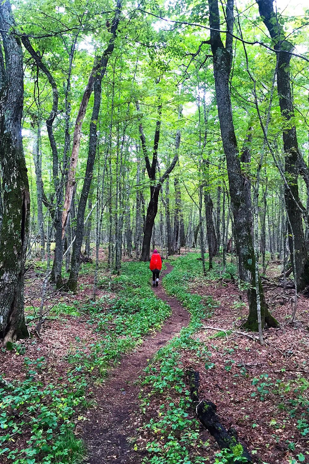 National-Park-Hikes-Greenstone-Ridge-Trail-1