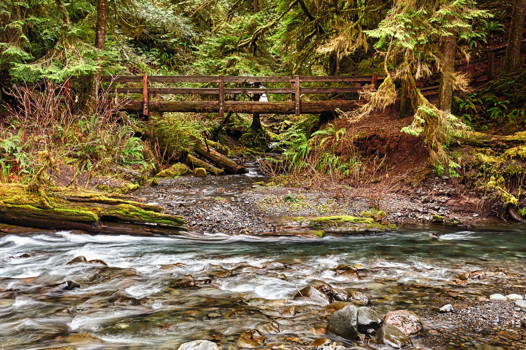 National-Park-Hikes-Hoh-River-Trail-1