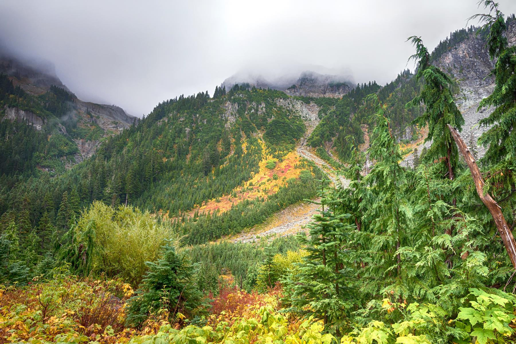 National-Park-Hikes-Wonderland-Trail-1